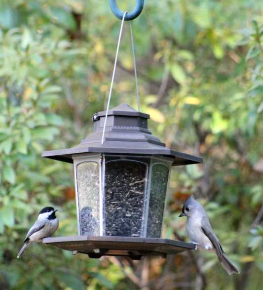 SureFill Small Plastic Lantern Feeder